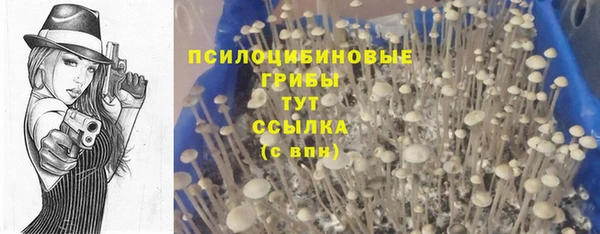первитин Балахна